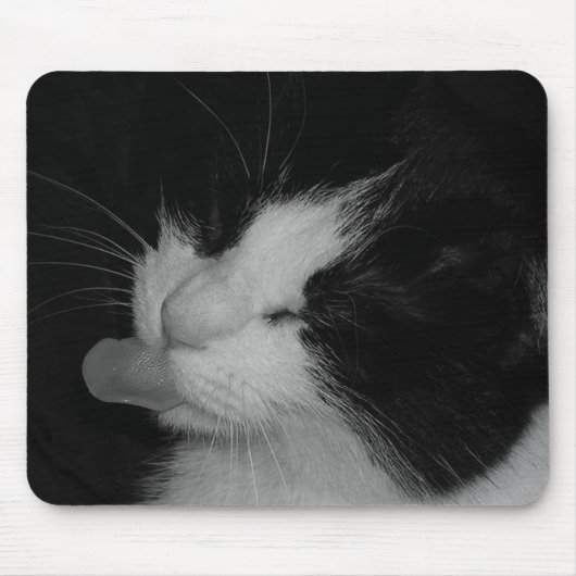 Schwarze u. weiße Katze Mousepad (Vorne)