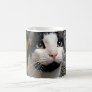 Schwarze u. weiße Katzen-Kaffeetasse Kaffeetasse