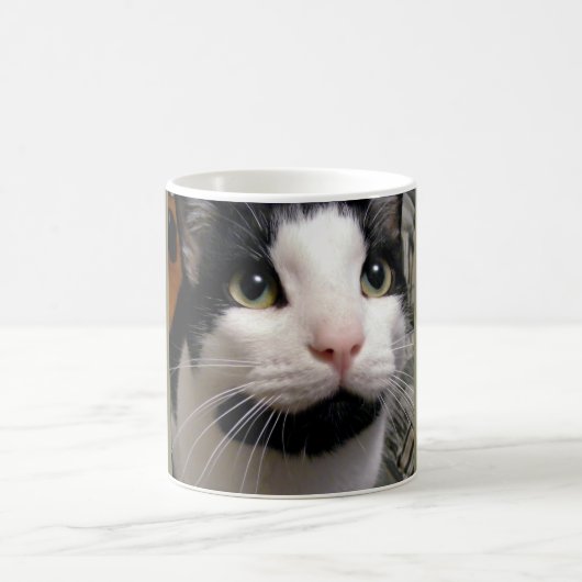 Schwarze u. weiße Katzen-Kaffeetasse Kaffeetasse (Mittel)