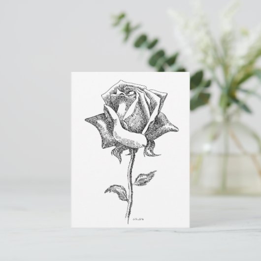 Schwarze u. weiße Rose Postkarte (Stehend Vorderseite)