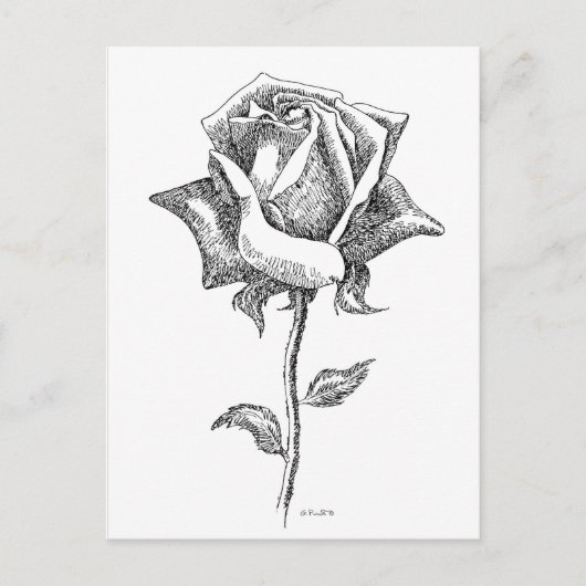 Schwarze u. weiße Rose Postkarte (Vorderseite)