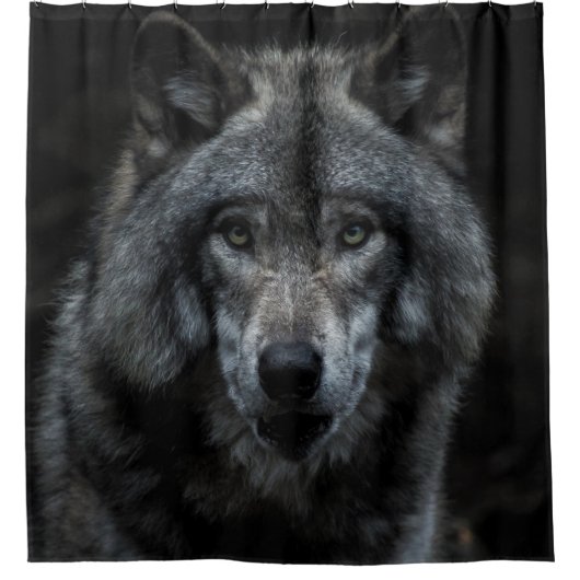 SCHWARZE UND BROWN-WOLF-MALERIE DUSCHVORHANG (Vorderseite)