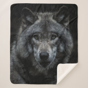 SCHWARZE UND BROWN-WOLF-MALERIE SHERPADECKE