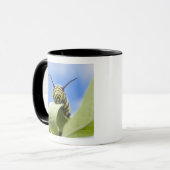 Schwarze und gelbe Raupe Tasse (Vorderseite Links)