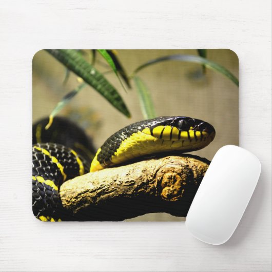 Schwarze und gelbe Schlange Mousepad (Mit Mouse)