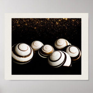 Schwarze und goldene Muscheln Tropische druckbare  Poster
