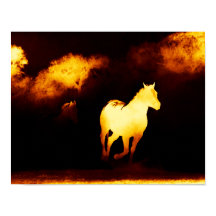 Schwarze und goldene Pferde laufen Poster