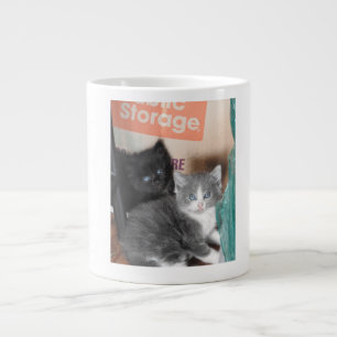 Schwarze und graue Kätzchen-Schale 2016 Jumbo-Tasse