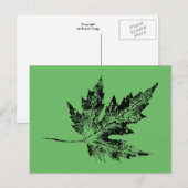 "Schwarze und grüne Ahornbahn" - Postkarte (Vorne/Hinten)