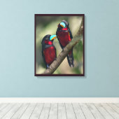 Schwarze und rote Broadbills Leinwanddruck (Insitu (Holzboden))