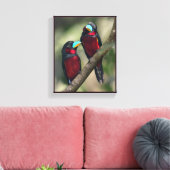 Schwarze und rote Broadbills Leinwanddruck (Insitu (Wohnzimmer))