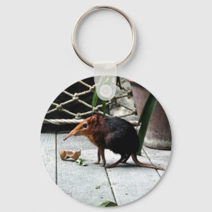 Schwarze und Rufous Elefant-Spitzmaus Schlüsselanhänger
