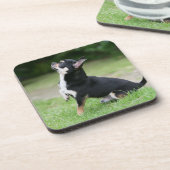 Schwarze und SahneChihuahua Getränkeuntersetzer (Linke Seite)