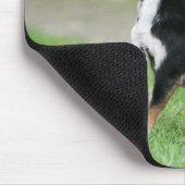 Schwarze und SahneChihuahua Mousepad (Ecke)