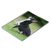 Schwarze und SahneChihuahua Notizblock (Linke Seite)