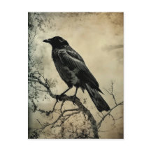 Schwarze und Sepia-Gotische Krähe