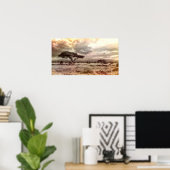 Schwarze und weiße Akazien auf der afrikanischen S Poster (Heimbüro)