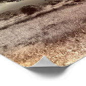 Schwarze und weiße Akazien auf der afrikanischen S Poster (Ecke)