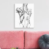 Schwarze und weiße Anatomie Art Back Muscles (1890 Leinwanddruck (Insitu (Wohnzimmer))