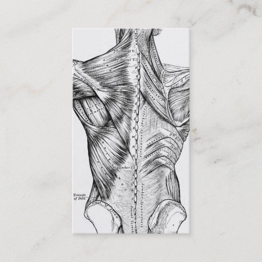 Schwarze und weiße Anatomie Art Back Muscles QR Co Visitenkarte (Vorderseite)