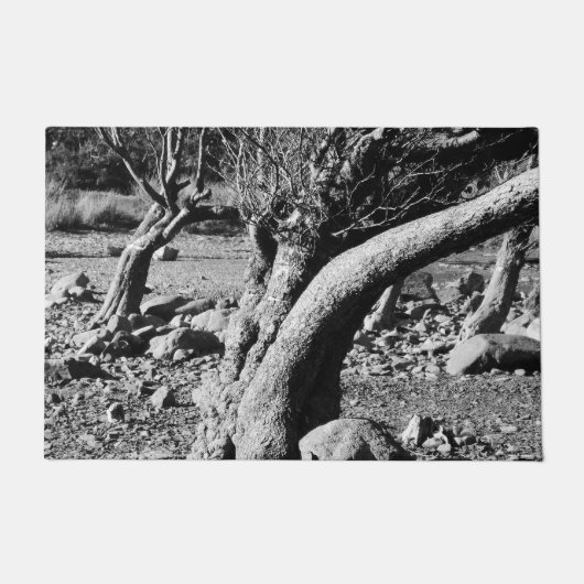 SCHWARZE UND WEISSE BÄUME FUßMATTE (Vorderseite)