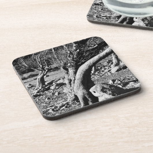 SCHWARZE UND WEISSE BÄUME GETRÄNKEUNTERSETZER (Linke Seite)