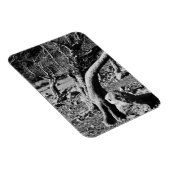 SCHWARZE UND WEISSE BÄUME MAGNET (Rechte Seite)