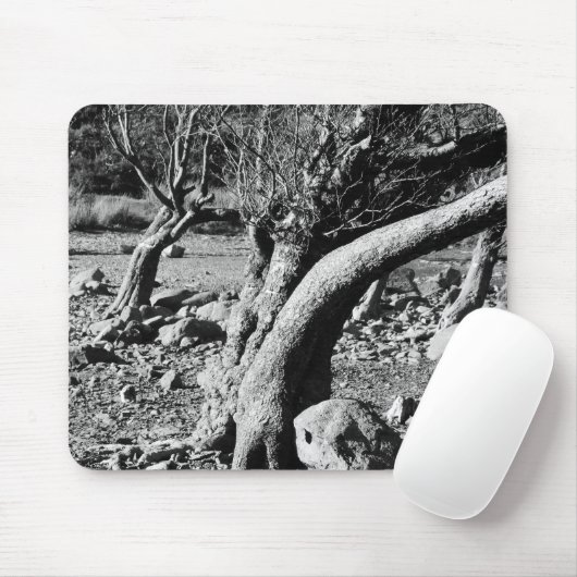 SCHWARZE UND WEISSE BÄUME MOUSEPAD (Mit Mouse)