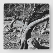 SCHWARZE UND WEISSE BÄUME QUADRATISCHE WANDUHR (Vorderseite)