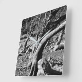 SCHWARZE UND WEISSE BÄUME QUADRATISCHE WANDUHR (Winkel)