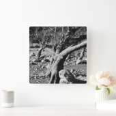 SCHWARZE UND WEISSE BÄUME QUADRATISCHE WANDUHR (Zuhause)