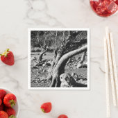 SCHWARZE UND WEISSE BÄUME SERVIETTE (Beispiel)