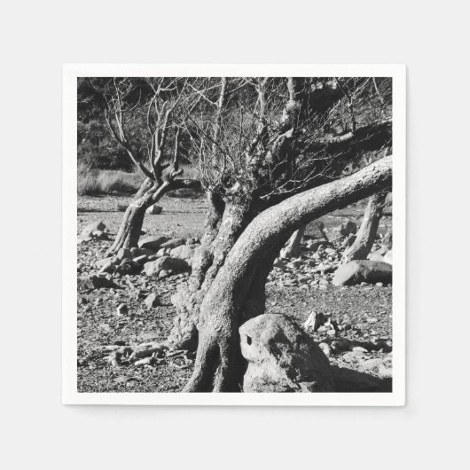 SCHWARZE UND WEISSE BÄUME SERVIETTE (Vorderseite)