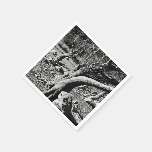 SCHWARZE UND WEISSE BÄUME SERVIETTE (Ecke)