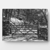 SCHWARZE UND WEISSE BÄUME UND GATE FOTOPLATTE (Vorderseite)