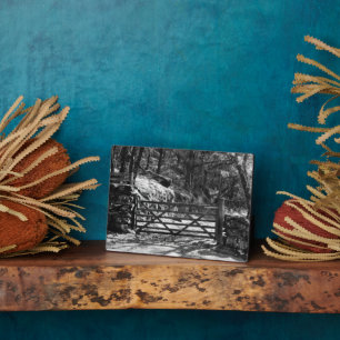 SCHWARZE UND WEISSE BÄUME UND GATE FOTOPLATTE