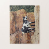 Schwarze und weiße Bergziege auf Felsen Puzzle (Vertikal)