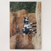 Schwarze und weiße Bergziege auf Felsen Puzzle (Vertikal)
