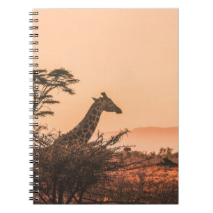 SCHWARZE UND WEISSE GIRAFFE AUF BROWN GRASS FELD NOTIZBLOCK