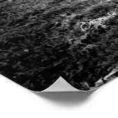 Schwarze und weiße Hochlandkuh Poster (Ecke)