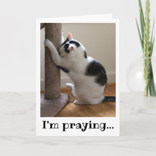 Schwarze und Weiße Katze beten Karte (Vorderseite)