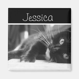Schwarze und weiße Katze Magnet