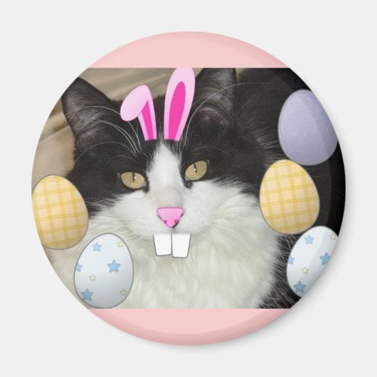 Schwarze und weiße Katze Magnet (Vorne)