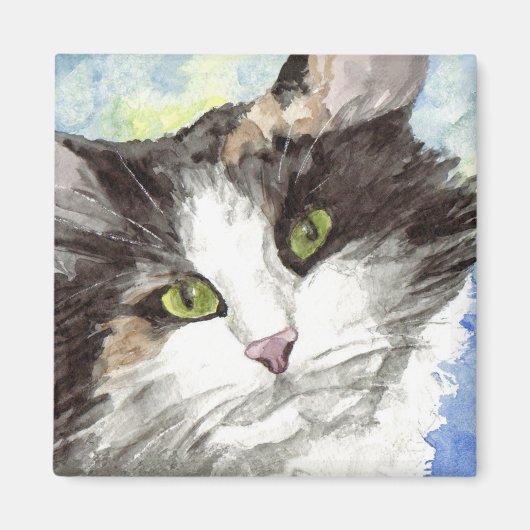 Schwarze und weiße Katze Magnet (Vorne)