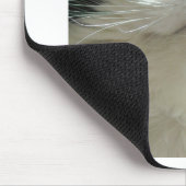 Schwarze und weiße Katze Mousepad (Ecke)