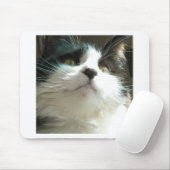 Schwarze und weiße Katze Mousepad (Mit Mouse)