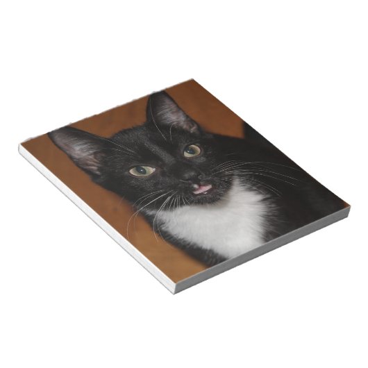SCHWARZE UND WEISSE KATZE NOTIZBLOCK (angewinkelt)