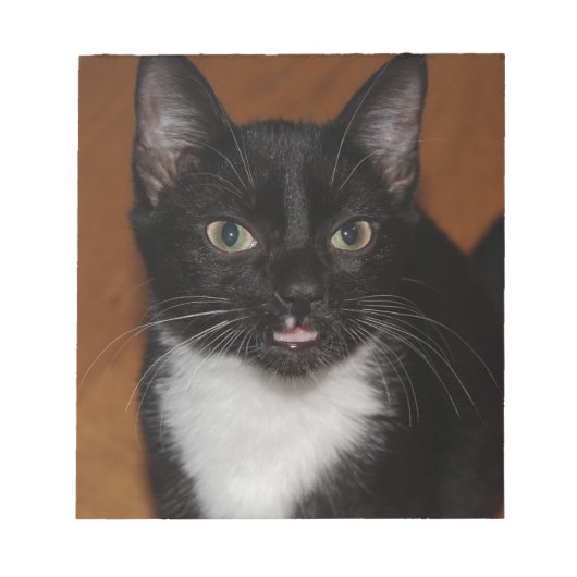 SCHWARZE UND WEISSE KATZE NOTIZBLOCK (Vorderseite)