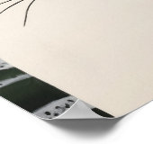 Schwarze und weiße Katze Poster (Ecke)