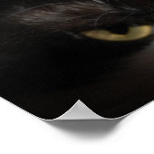 Schwarze und weiße Katze Poster (Ecke)